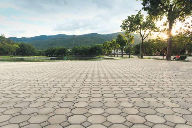 Best Driveway Paving Contractor  in Checotah, OK
